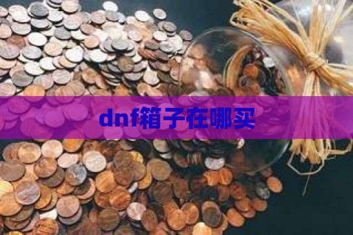 dnf箱子在哪买